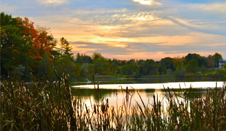 Sunset at Heart Lake. Cattails line a calm lake and the sunlight reflects off the water's surface. Trees on the far side of the lake are changing colours for the coming autumn seasons.