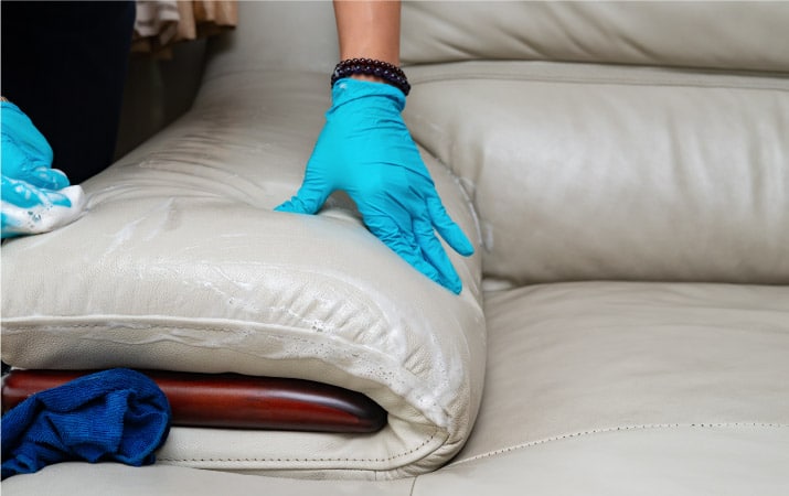 A woman is wearing blue latex gloves while cleaning a white leather sofa with a gentle soap. 