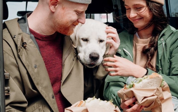 a couple eats lunch as their dog looks on