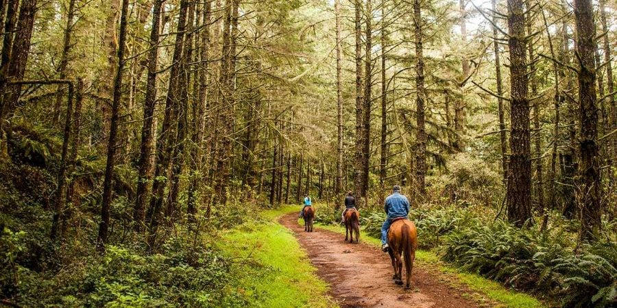 Horseback riding in California forest