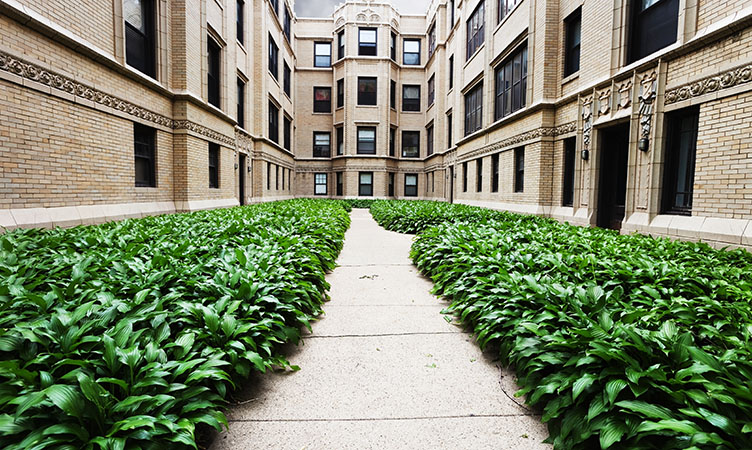 A cozy apartment complex in Rogers Park, Chicago