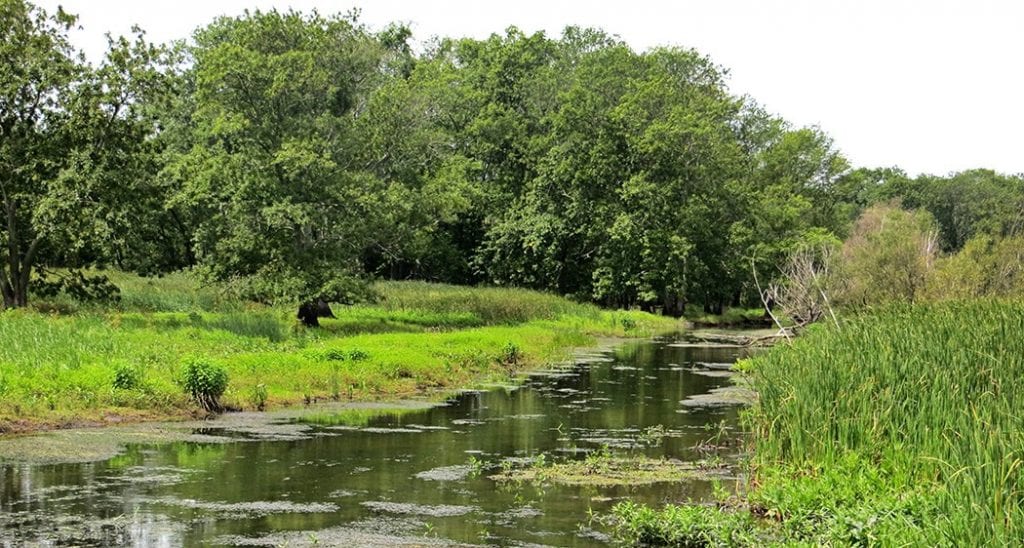 Troy Meadows Wetlands Preserve 