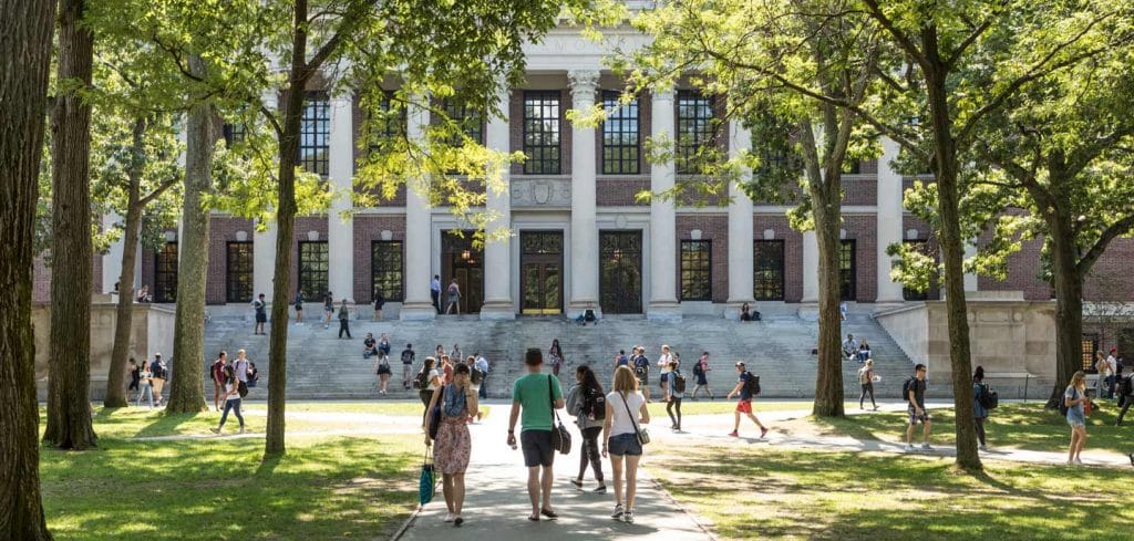 Students walking on a shady sidewalk at a college campus