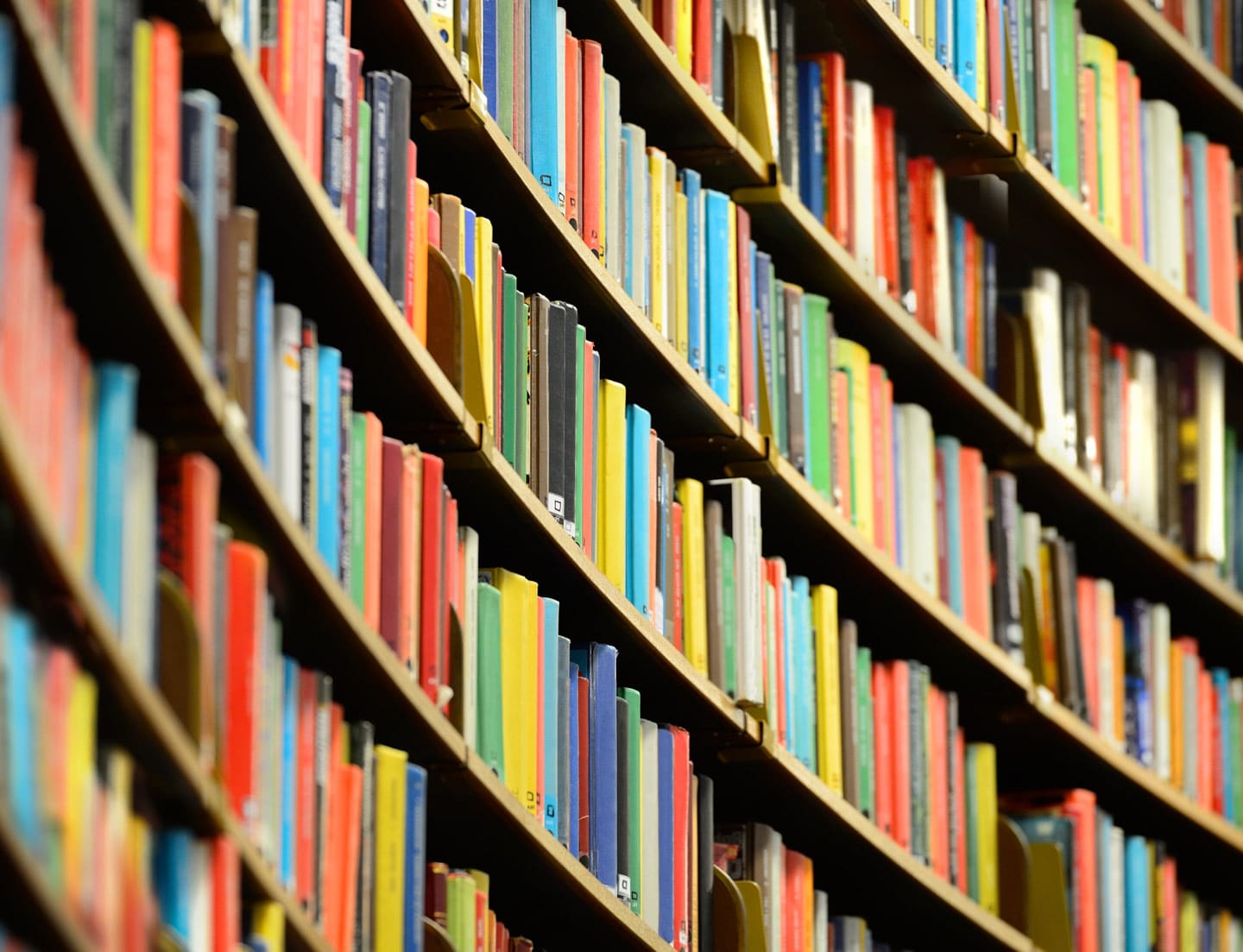 Bookshelves at an independent bookstore