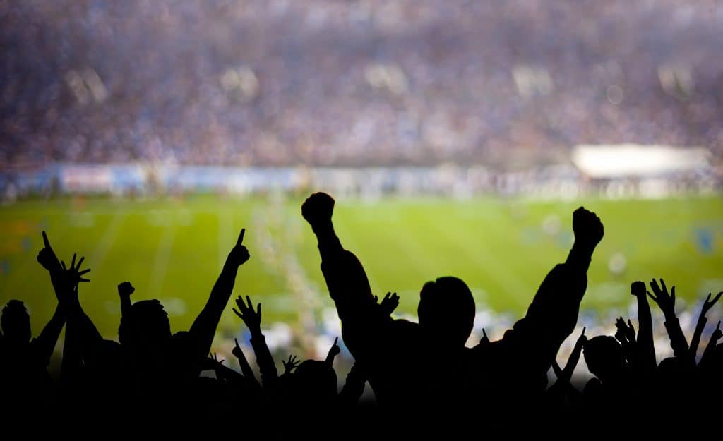 A large crowd of spectators cheering at a professional sports game.