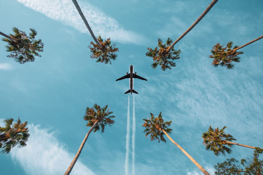 Airplane taking off from Los Angeles with palm trees in sky 