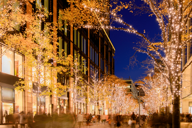 Holiday lights in trees covering street