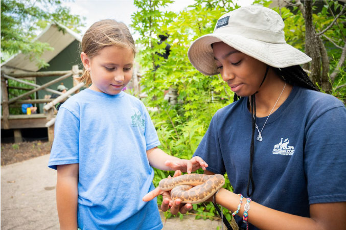 A young girl is petting a snake as a handler holds it at the Cleveland Metroparks Zoo in Cleveland’s Old Brooklyn neighborhood.