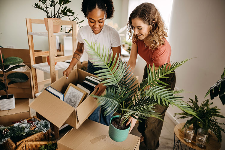 A couple is moving plants and cardboard boxes as they discuss the finer details of their move, including their anxieties, excitements, and logistics.