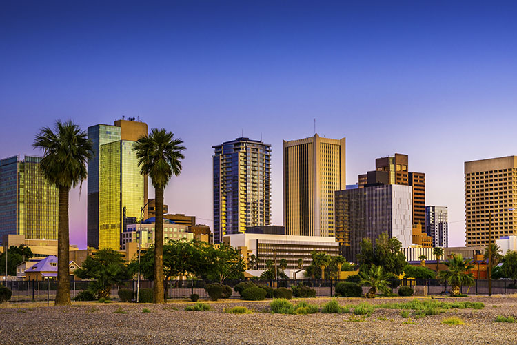The Phoenix skyline at sunrise, with palm trees in the foreground