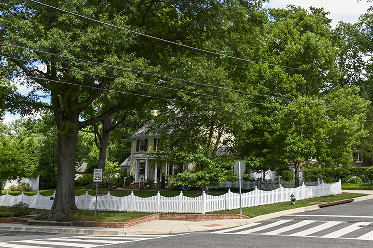 An oak-lined street and two-story colonial home in Hawthorne, Washington, D.C.