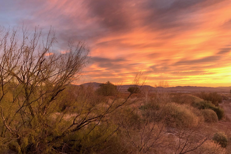 A stunning sunset view of the natural landscape in Clark County Wetlands Park outside Henderson, Nevada.