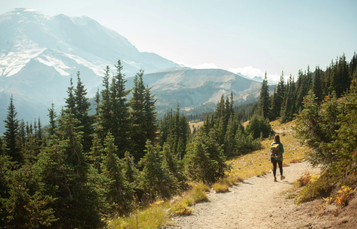 A woman is hiking in Mt. Rainier National Park on a clear day. 