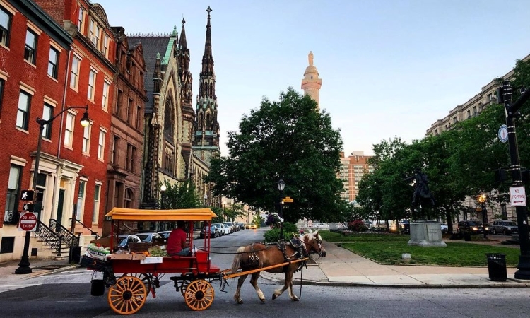 A horse-drawn carriage in Baltimore