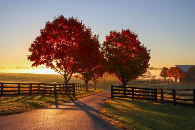 A lovely country road in Lexington, Kentucky, with autumn foliage and sweeping pastures on either side.