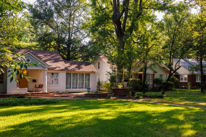 A row of single-family homes in Memphis, TN, shaded by several mature trees