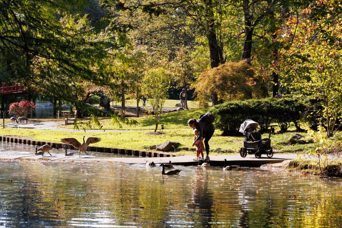 A woman and her young child are standing at the edge of a pond watching the geese in the Memphis Botanic Garden.