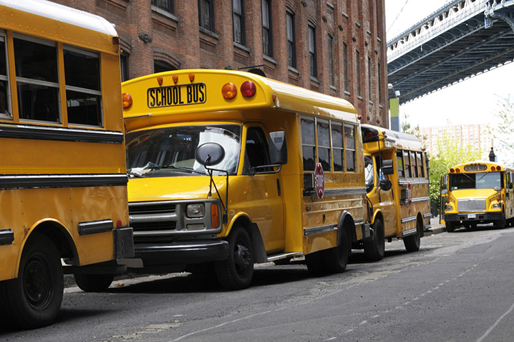 Yellow school buses in a row in New York