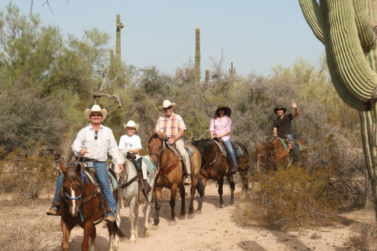 Five people are riding horses through the desert near Scottsdale, Arizona. The trail is lined with rough scrub brush and tall cacti.