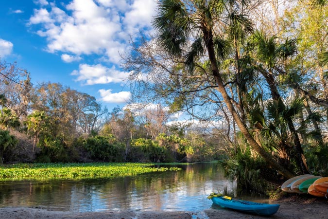 A blue kayak is sitting on the banks of a river beside a stack of five kayaks in Wekiwa Springs State Park, near Orlando