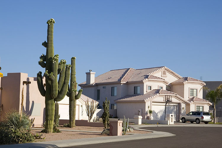 Homes in the Phoenix suburbs