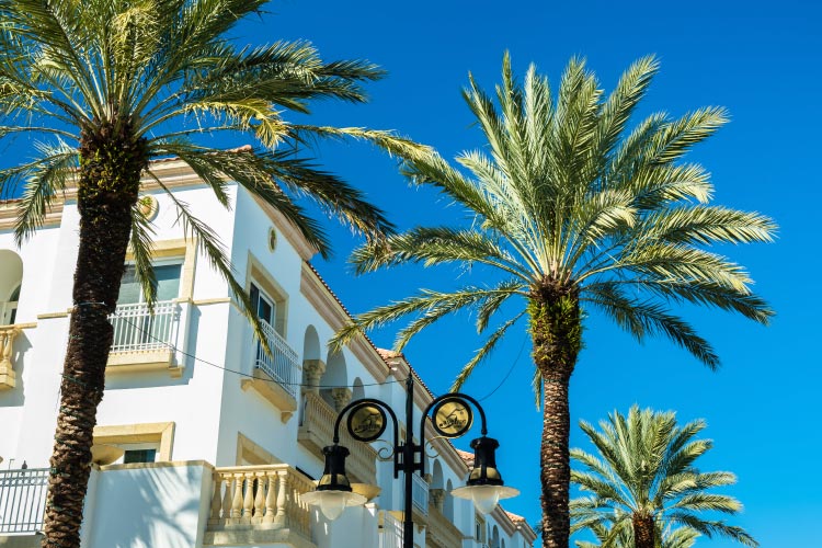 A residential building in the popular downtown area of Old Naples in Florida. The building has a Mediterranean look, and there are uniform palm trees all around.  