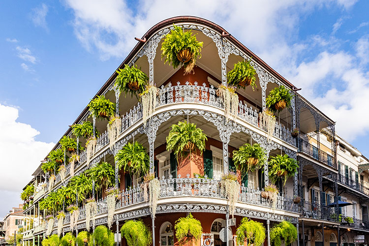 A building in the New Orleans French Quarter with iron balconies and hanging plants