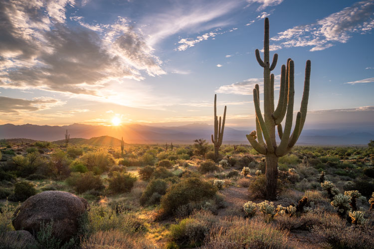 The sun sets over the McDowell Mountains in the Sonoran Desert near Scottsdale, Arizona.