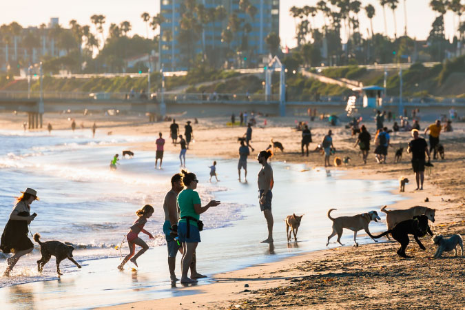 Locals enjoy a sunny day at Rosie’s Dog Beach in Long Beach, California.
