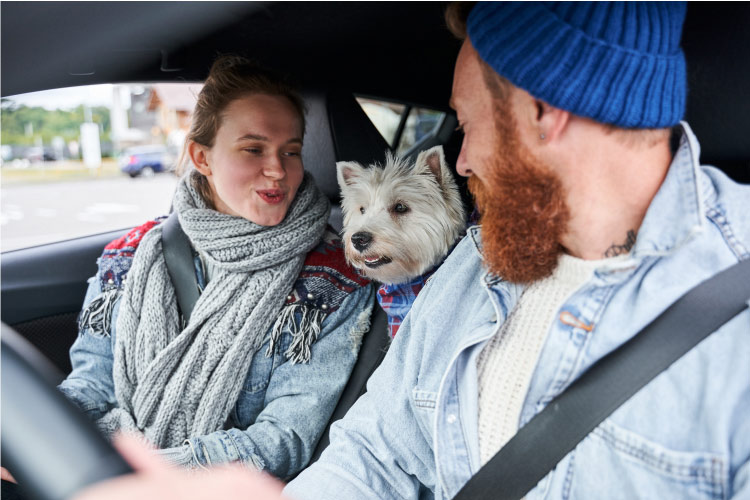 A couple are sitting in their car, doting on their little white dog that is poking its head forward from the back seat. 