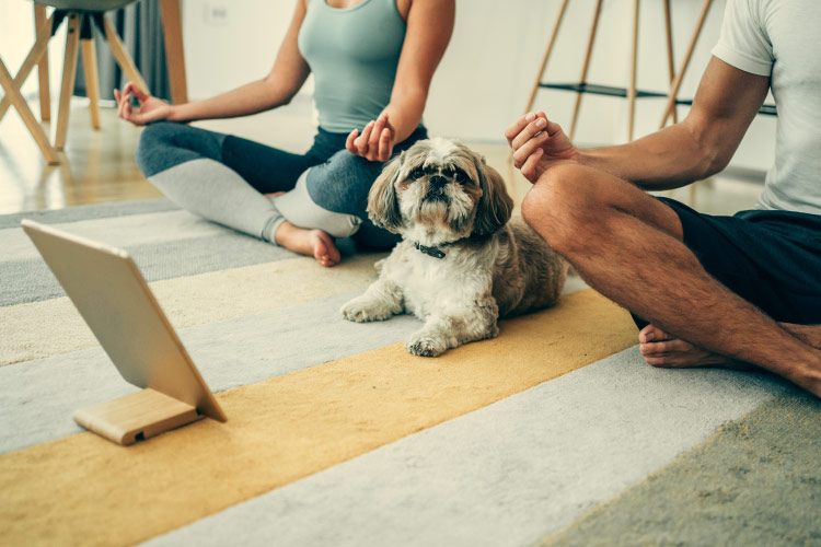A couple is sitting cross-legged with their hands on their knees, following an online yoga class as their little dog is lying down between them.