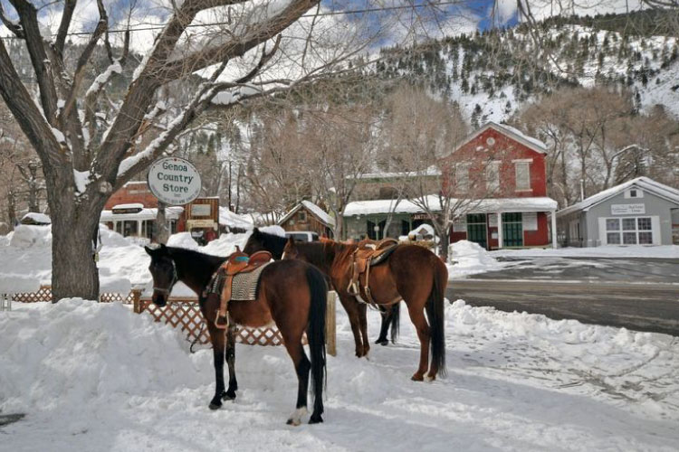 Two horses are waiting patiently for their riders outside the Genoa Country Store in Genoa, Nevada, in the winter. Snow covers the ground and the mountains in the distance. 