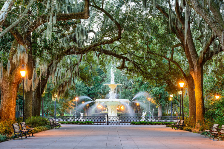 The view down a tree lined lane in Savannah, Georgia’s, Forsyth Park. At the end of the lane is the elegant Forsyth Park Fountain.