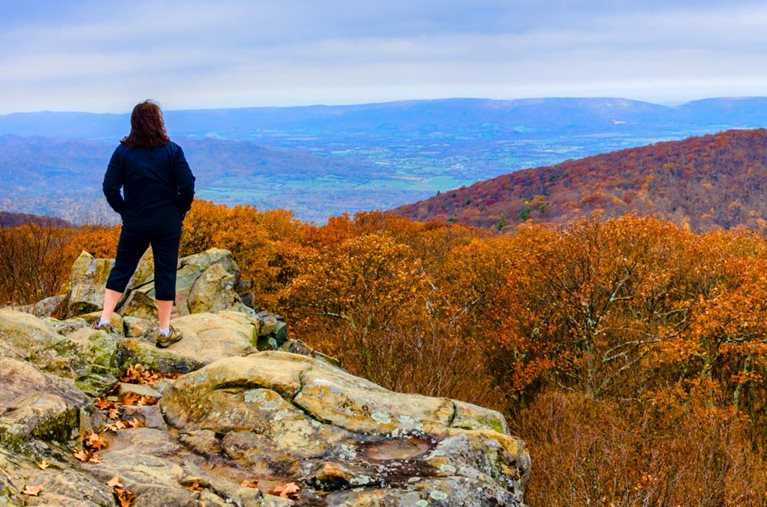 A retired woman is standing on a rocky outcrop admiring the fall colors in Shenandoah National Park, Virginia.