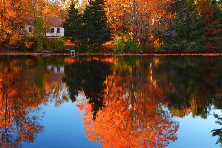 A gorgeous fall scene along the Wood River in Richmond, Rhode Island. A small white house abuts the water while green pines mingle with deciduous varieties decked out in fiery hues. 