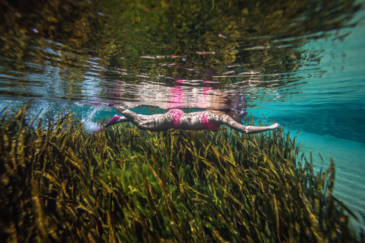 A woman in a pink bikini is snorkeling over an underwater field of manatee grass in a freshwater river in Jackson County, Florida.