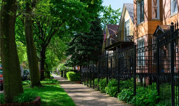 A sidewalk lined with plants and trees next to a row of old fenced-in homes in the Logan Square neighborhood of Chicago, Illinois. The ground cover along the sidewalk is lush and green, and the trees are casting shadows along the path.