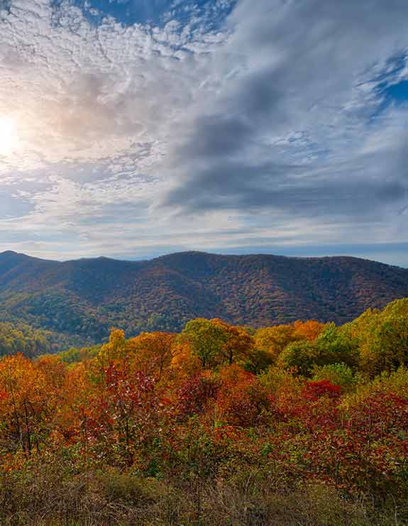 Shenandoah Valley's Portable Moving & Storage Containers Rental Units
