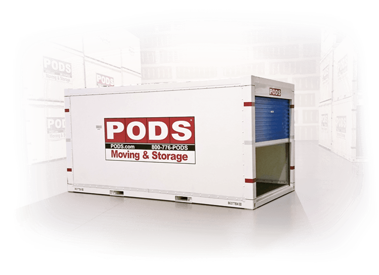 Portable storage unit with door open