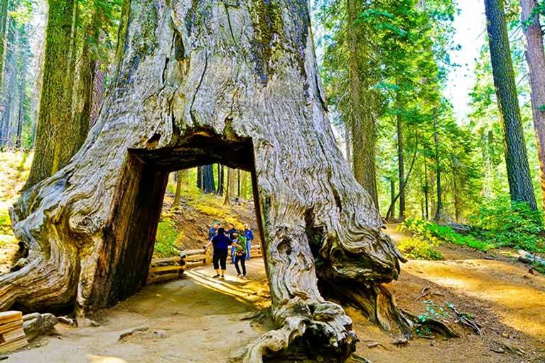 Things to do in Fresno