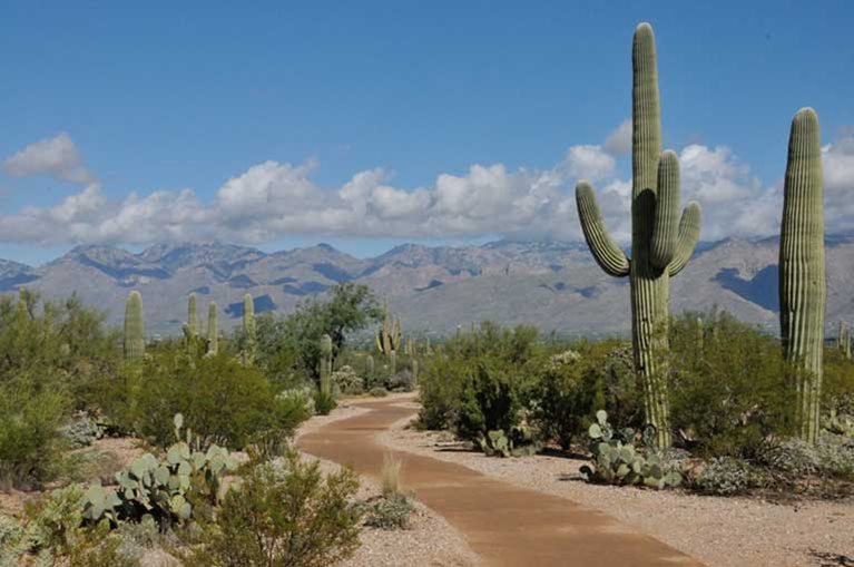 Things to do in Tucson