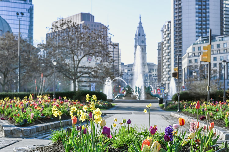 A park in Philadelphia during the day. The main fountain is blurred in the background, and the focus is on multi-colored tulips. 
