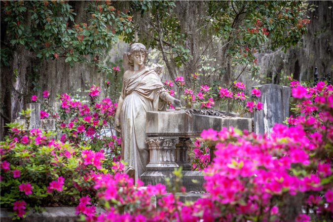 An elegant sculptural tombstone in the Bonaventure Cemetery surrounded by hundreds of pink blooms.