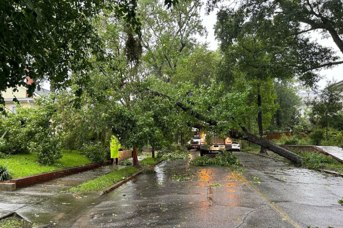 Workers address a fallen tree blocking a residential street in Savannah, Georgia, after Hurricane Helene in 2024.