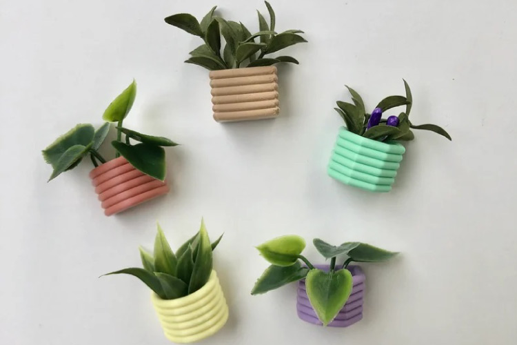Five mini succulent fridge magnets, each in a different colored pot.