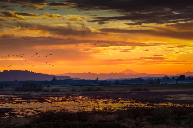 Sunset view of the distant mountains seen from Salem, Oregon.