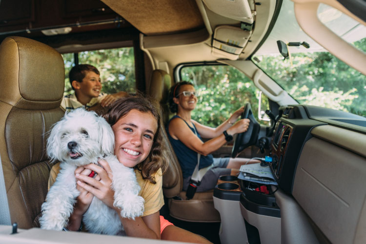 A mother and her two young kids (and family dog) are heading away for a short vacation in their RV. They’re trying to get out of the house while the wood floors are installed. 