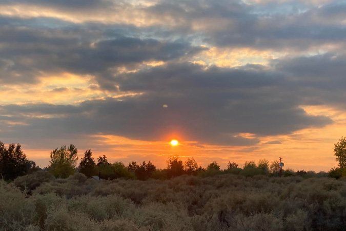 Sunset view of the horizon and wild green space in Panorama Vista Preserve just outside La Cresta-Alta Vista — one of the best Bakersfield neighborhoods.