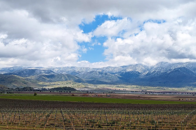 View of a vineyard with distant mountains in Tehachapi, California — one of the best suburbs of Bakersfield, California.