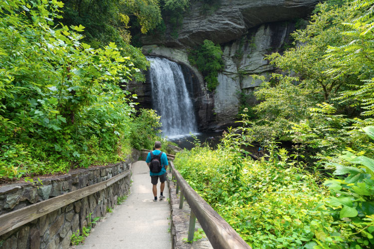 A man walks on a path to Looking Glass Falls near Brevard, North Carolina. He’s surrounded by lush foliage and large rock formations.